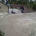 Labura Dilanda Banjir, 210 Rumah Terendam Satu Rumah Roboh