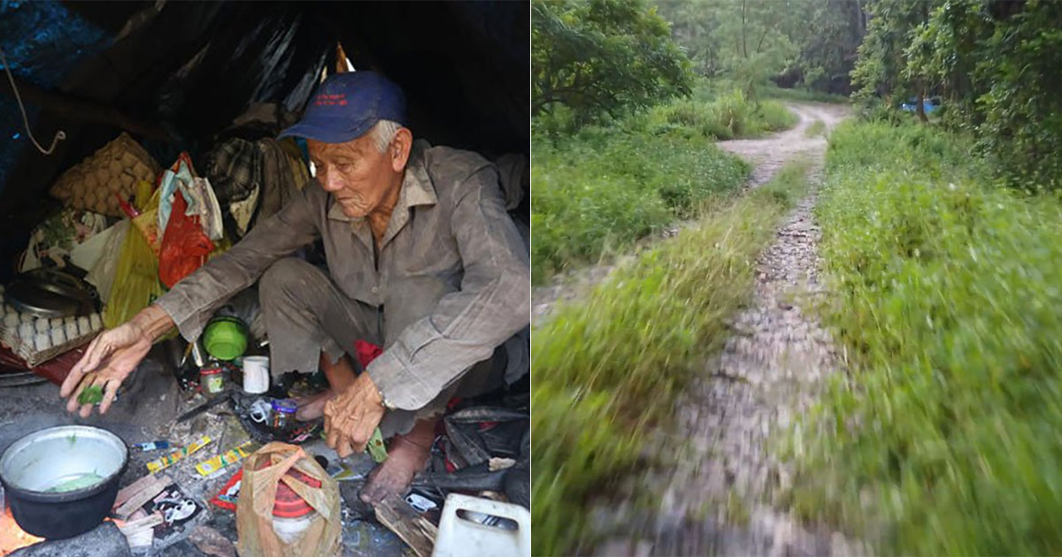 Elderly man, 79, lived in S'pore forest alone for past 33 years, posted on Thursday, 17 February 2022