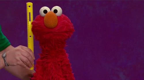 How Tall is Elmo from Sesame Street 2