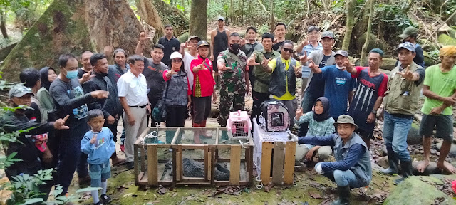 BKSDA Kalimantan Barat Pelepasan Satwa Liar di Sagatani