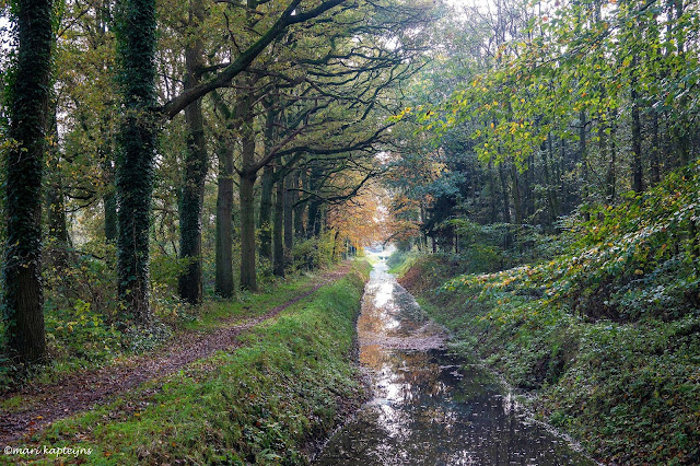 De Mortelen bij Oirschot november 2021, Heerenloop