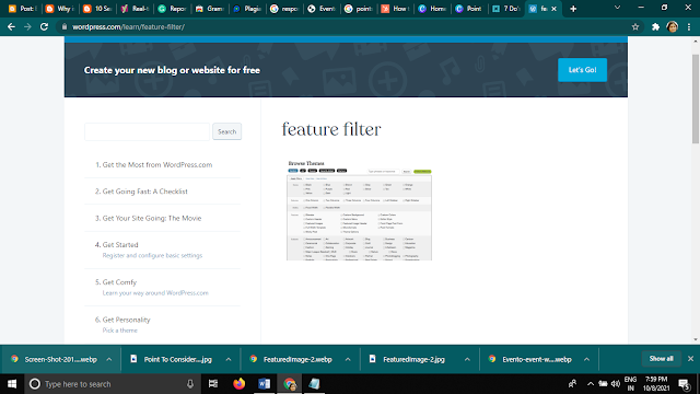 WordPress feature filter