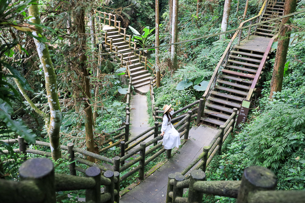 嘉義梅山仙人堀步道秘境，杉林木棧道輕鬆散步聽蟲鳴鳥叫水流聲