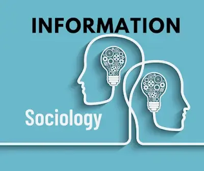 the importance of sociology