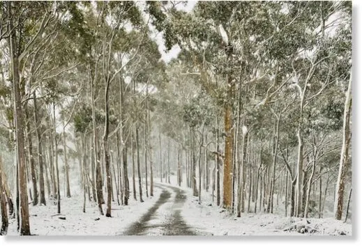 Spring snowfall hits Tasmania, Australia