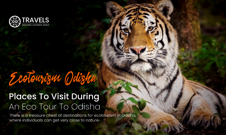 Ecotourism Odisha