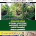 മാതൃകയാണ് മടിക്കൈ കാവുകളും ചെറുവനങ്ങളും  പച്ചത്തുരുത്ത് പദ്ധതിയോട്  ചേർത്ത് സംരക്ഷിച്ച്  മാതൃകാ പ്രവർത്തനം