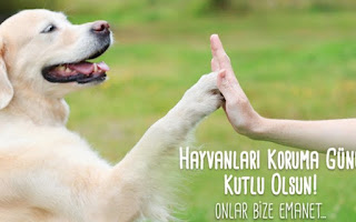 Hayvanları Koruma Günü Kutlu Olsun! Onlar Bize Emanet...