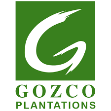 Profil Emiten PT Gozco Plantations Tbk (IDX GZCO) investasimu.com