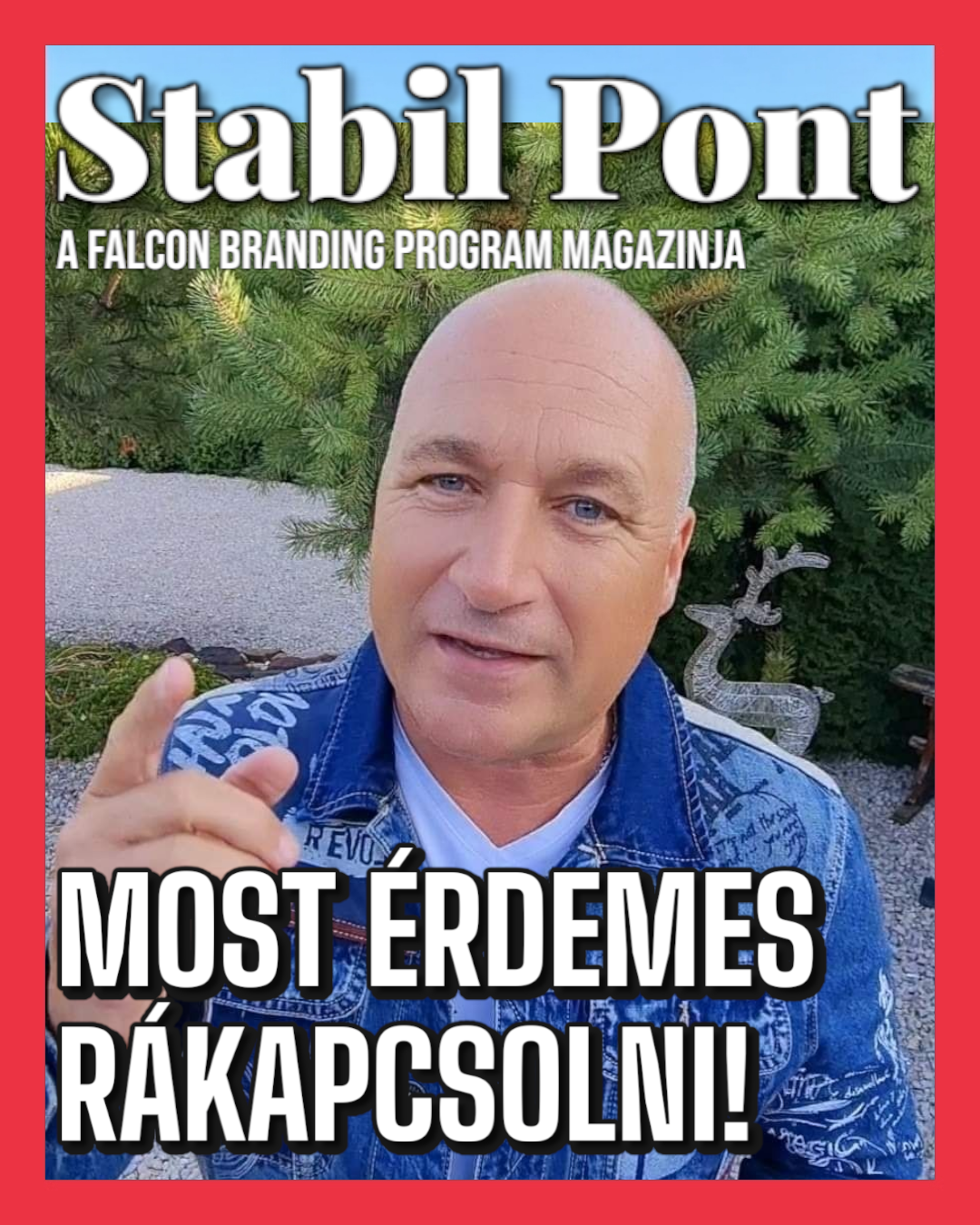 Kép