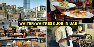 Waitress  Job For Sports Bar In Dubai | Dubai Hues Boutique Hotel