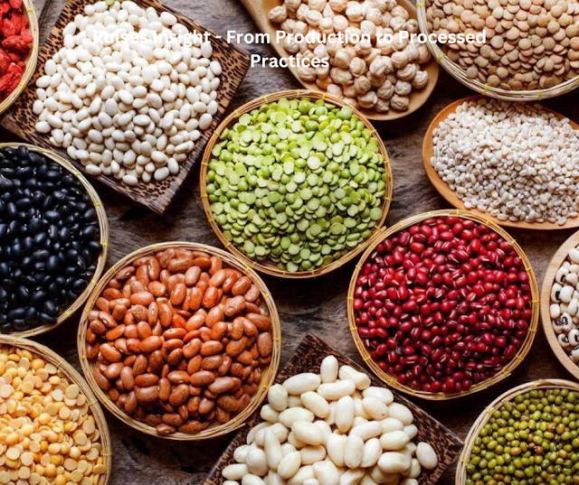 Pulses Insight - From Production to Processed Practices