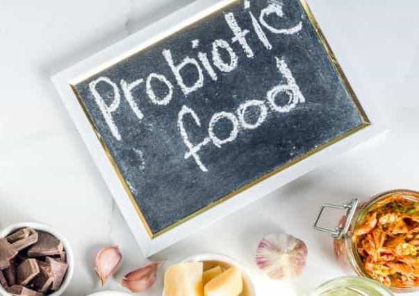 penjelasan singkat probiotik