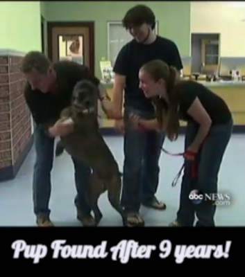 Screenshot shows a foyer of an office. A very happy large dog smiling at the camera whil putting his paws in a smiling man's hand. A smiing woman looks on adoringly. A second man stands behind the dog.