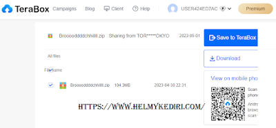 download file terabox melalui pc