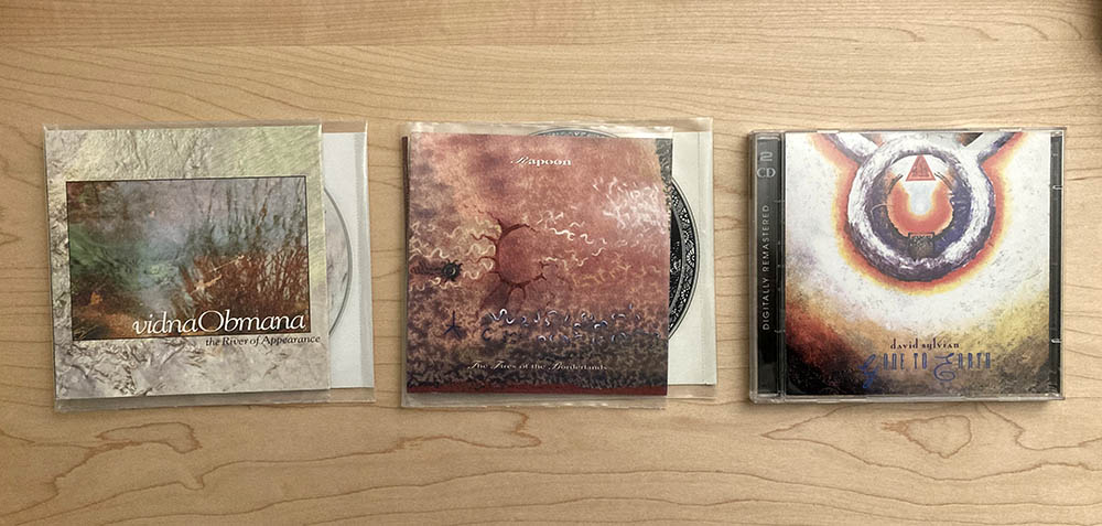 Vidna Obmana, Rapoon, David Sylvian