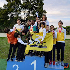 Clube de Atletismo de Oliveira do Bairro: CAOB em destaque no