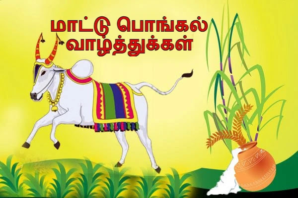 Mattu Pongal Wishes In Tamil