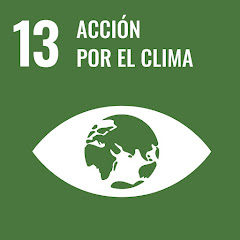 ONU. ODS 13 ACCIONS PEL CLIMA