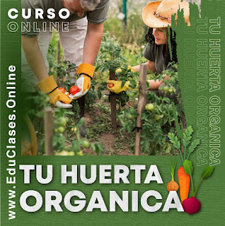 Cultivo en el jardin