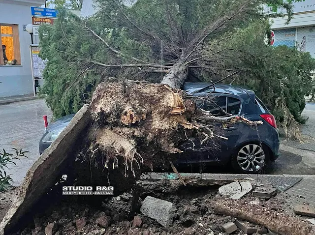 Έπεσε δέντρο πάνω σε αυτοκίνητο στο Άργος