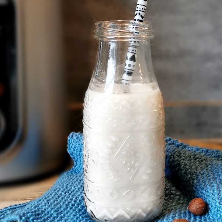 selbst gemachte vegane Milch