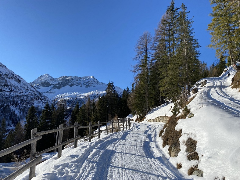 Il sentiero in Val Viola in inverno