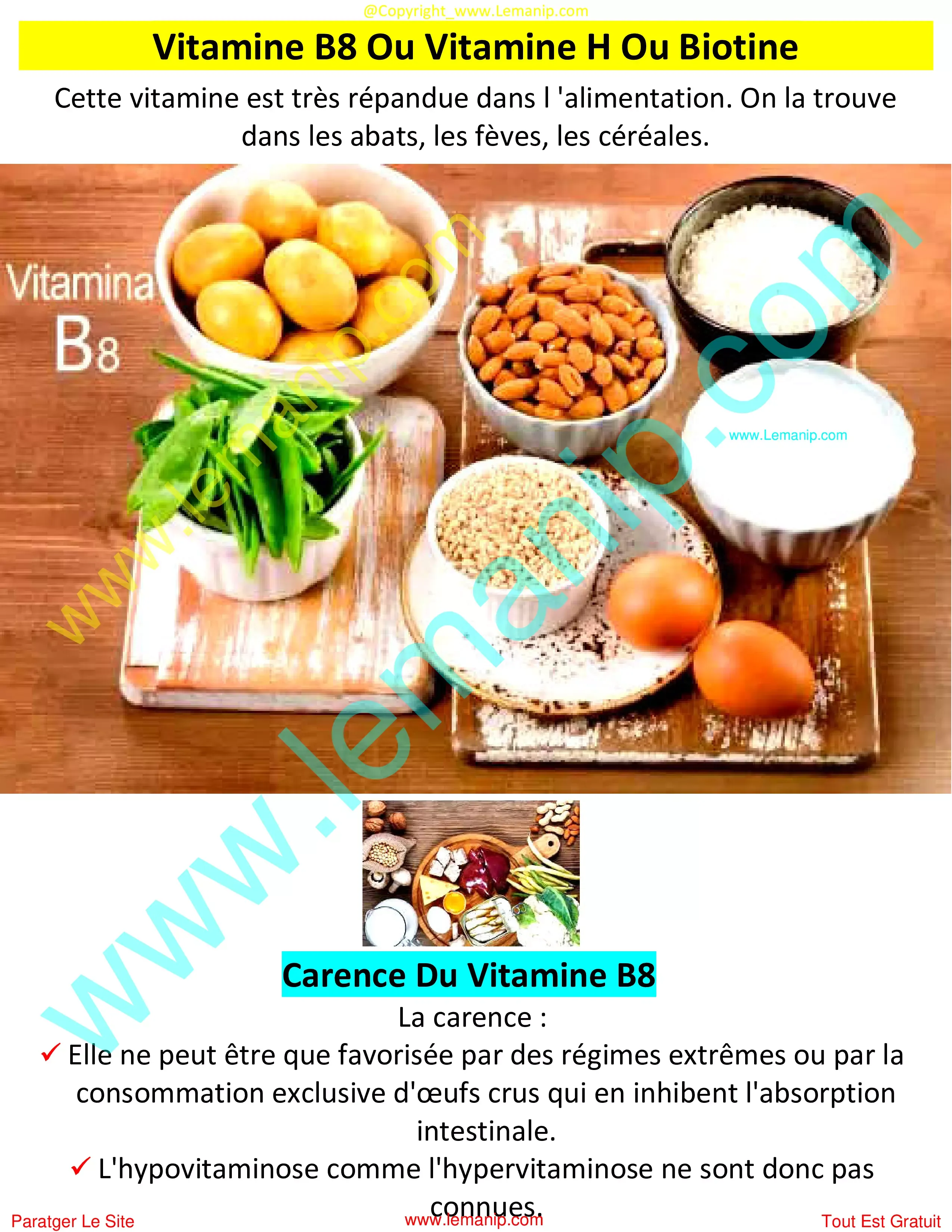 Vitamine B8 Ou Vitamine H Ou Biotine Et Carence