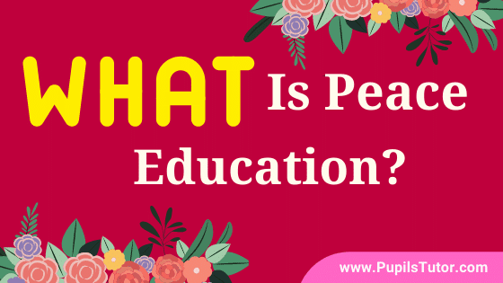 What Do You Mean By Peace Education? – Meaning, Introduction And Concept Of Peace Education | What Is Peace And What Is The Concept Of Peace Education - pupilstutor.com