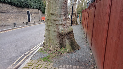 A footway with a tree so large, it is completely blocked by it.