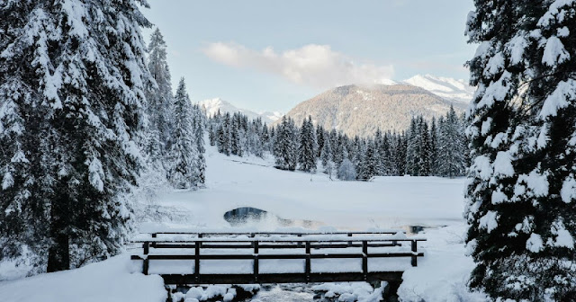 lago trentino neve