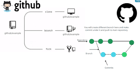 How can You Clone a Git Repository via Jenkins