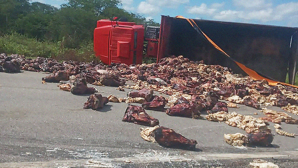 Caminhão com cabeças de boi tomba e carga se espalha na rodovia em Ibimirim