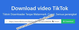 download video tiktok tanpa watermark secara online