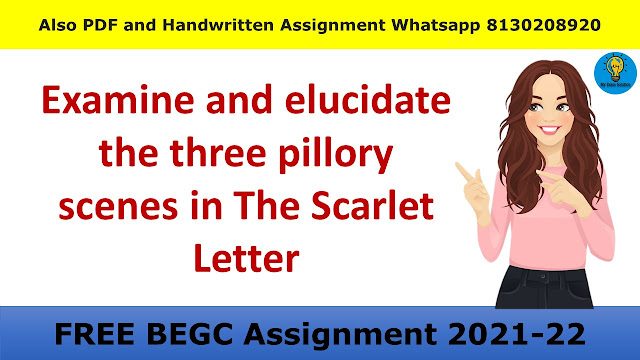 Examine and elucidate the three pillory scenes in The Scarlet Letter