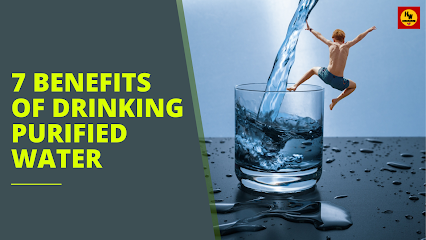 7 Benefits Of Drinking Purified Water
