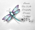 Dragonfly Dreams Top Pick