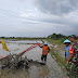 Babinsa Koramil 02/Taman Melakukan Pendampingan Luas Tambah Tanam (LTT) di Desa Pedurungan Kec.Taman 