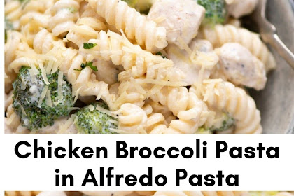 Chicken Broccoli Pasta in Alfredo Pasta