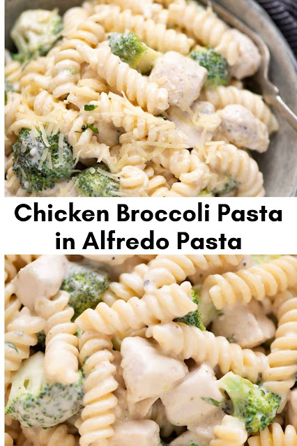 Chicken Broccoli Pasta in Alfredo Pasta