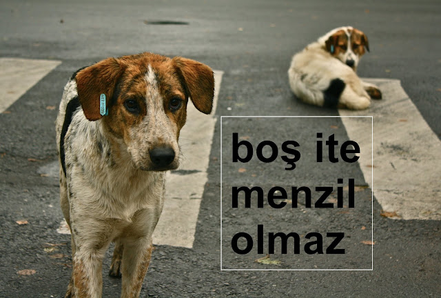 boş ite menzil olmaz