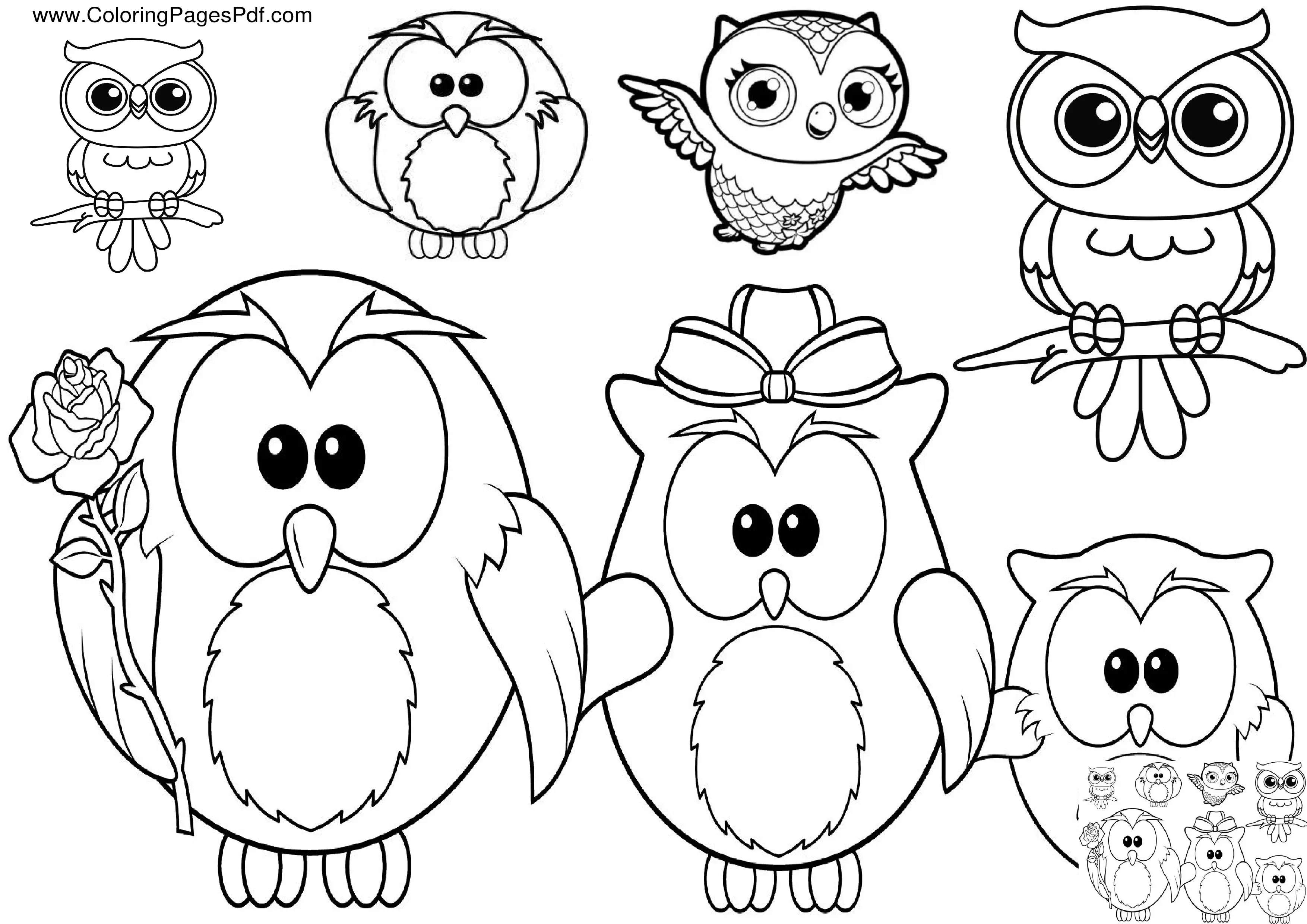 Baby owl coloring pages