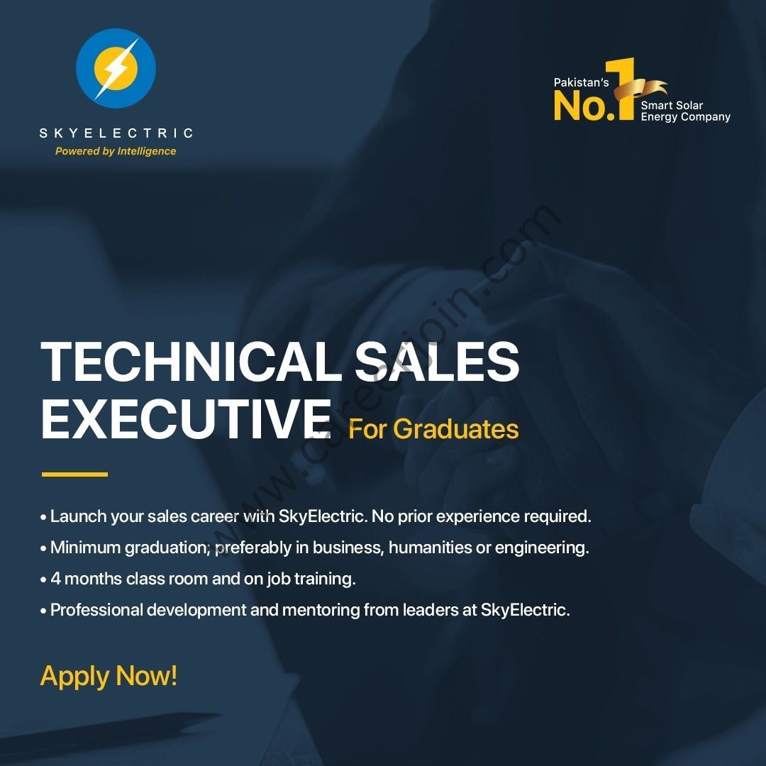 SkyElectric Technical Sales Executive Program 2021