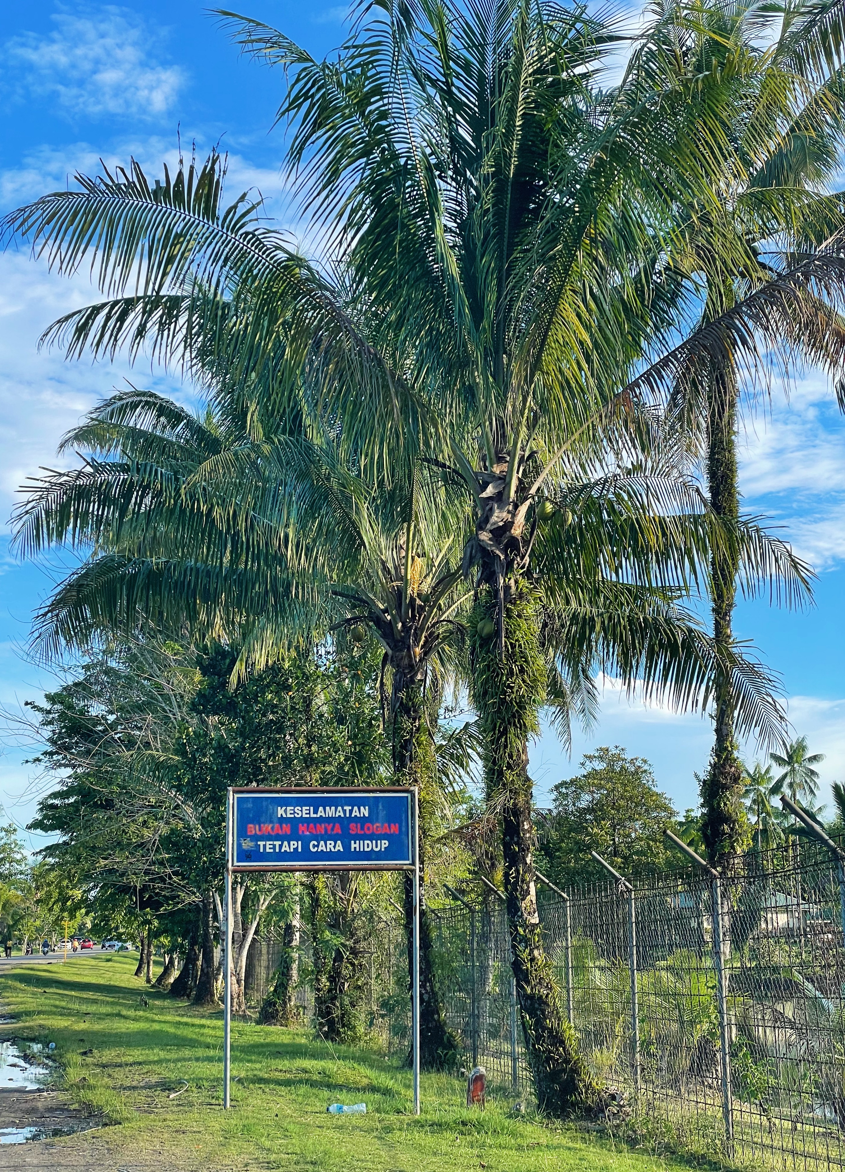 Jogging Sore With Beautiful View - Timika, Papua