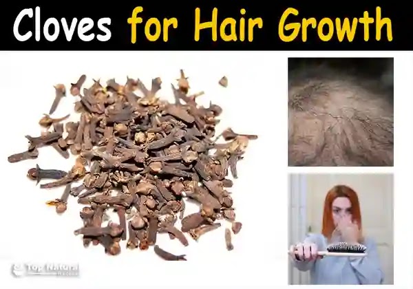 how to use cloves water for hair growth, can i use clove water on my hair everyday, cloves and flaxseed for hair growth, side effects of onion juice on hair, how to make clove oil for hair growth, ginger and clove for hair growth, cloves and rosemary for hair growth, 2 ways to use onions for hair growth, onion and clove for hair growth, cloves and onion for hair growth, onion and cloves for hair, clove and onion for hair