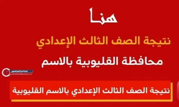 مبروك ظهرت.. نتيجة الشهادة الاعدادية محافظة القليوبية 2024 الترم الاول بالاسم ورقم الجلوس عبر البوابة الإلكترونية