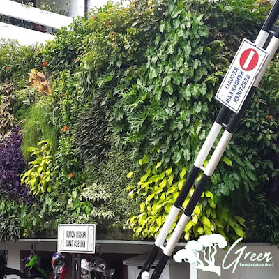 Tukang Taman Dinding Bojonegoro - Jasa Pasang Taman Vertical Garden di Bojonegoro