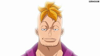 ワンピースアニメ ゾウ編 773話 マルコ パイナップル | ONE PIECE Episode 773