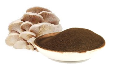 Oyster mushroom supplement | Mushroom supplement | Biobritte mushroom company