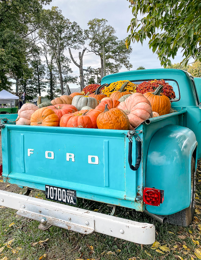 Vintage truck bed full of pumpkins